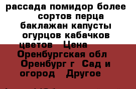 рассада помидор более 20 сортов,перца,баклажан,капусты,огурцов,кабачков,цветов › Цена ­ 70 - Оренбургская обл., Оренбург г. Сад и огород » Другое   